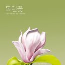 토담한의원