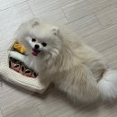 신상떡방앗간