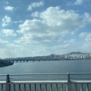 후기] 셀프 스튜디오에서 여자가 먼저 프로포즈한...다온 헬륨풍선 맞춤제작, 빌라드자뎅 장미...