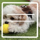 동남로29길 이미지