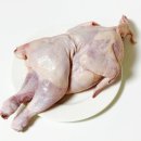 일승푸드 네이버블로그