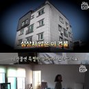 이층집고양이 이미지