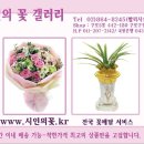 조윤주시인의꽃갤러리 이미지