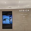 아프리카 안경 이미지