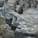 엘림농장 이미지