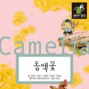 이매중학교 뒤 이미지