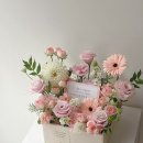 온화앤유 이미지