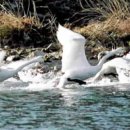 용연축산 이미지