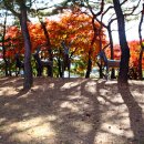 우제류를위하여 이미지