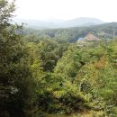 배흥립장군 묘소 이미지