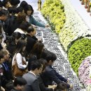 고잔초등학교 앞 이미지