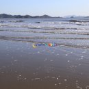 서해전설 이미지