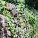 구로-구로-구로-1671 이미지