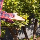 명주마을경로당 이미지