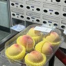 해맑은내과의원 이미지