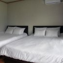 하이디코리아 이미지