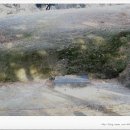 산신제터 Daum카페