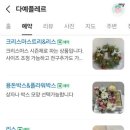 다예플레르 이미지