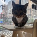 봉식동물병원 이미지