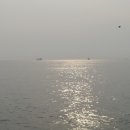 천곡방파제 이미지