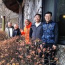 수동골 Daum카페