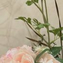 믿음신경외과의원 이미지