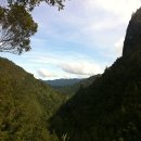 2011년 8월 13일 : Kauaeranga Vally - Mt Pinnacle 이미지