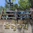 그랜드노래연습장 | 강원도 원주 소금산 그랜드밸리 케이블카 탑승 출렁...중국 장가게을 방불케한 소금산 방문 후기