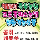당조 이미지