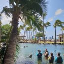 분동농장 이미지