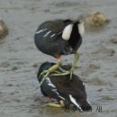 개풍농장 이미지