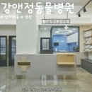 남서울동물병원 이미지