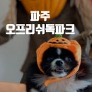 리쉬 이미지