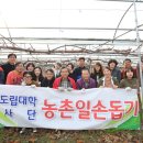 충북도립대학