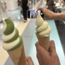 예인커텐 | 말랑이터뜨리기 레드레드