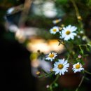 김밥스토리 이미지