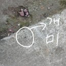 호산목장 이미지