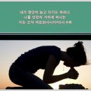 찬송가 / 541장 꽃이 피는 봄날에만﻿ 이미지