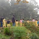 가경초등학교 병설유치원 ,주성초교 병설 유치원 천연염색 체험 이미지