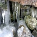 늘빛강가 이미지