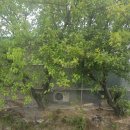 신우농약사 이미지