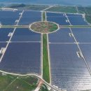 세종 태양광발전소 이미지