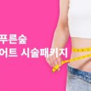 푸른숲 - 안산시 상록구 | 푸른숲