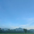 🌦️⛳​"푸른 잔디밭 위 이슬과 사왕의 황금빛 아침"🍃 이미지