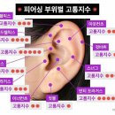 피어싱 부위별 고통지수 이미지