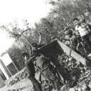 오리초등학교 이미지