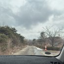 [내돈내산]자유로캠핑장 E-6 사이트 방문 후기