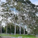 킹스가든 이미지