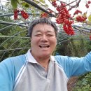 감나무골농장 이미지