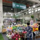 하나로 플라워 수족관 이미지